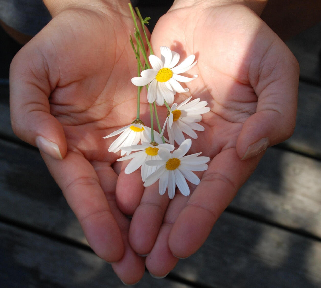 Getting a present Getting a present